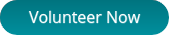 Volunteer Now