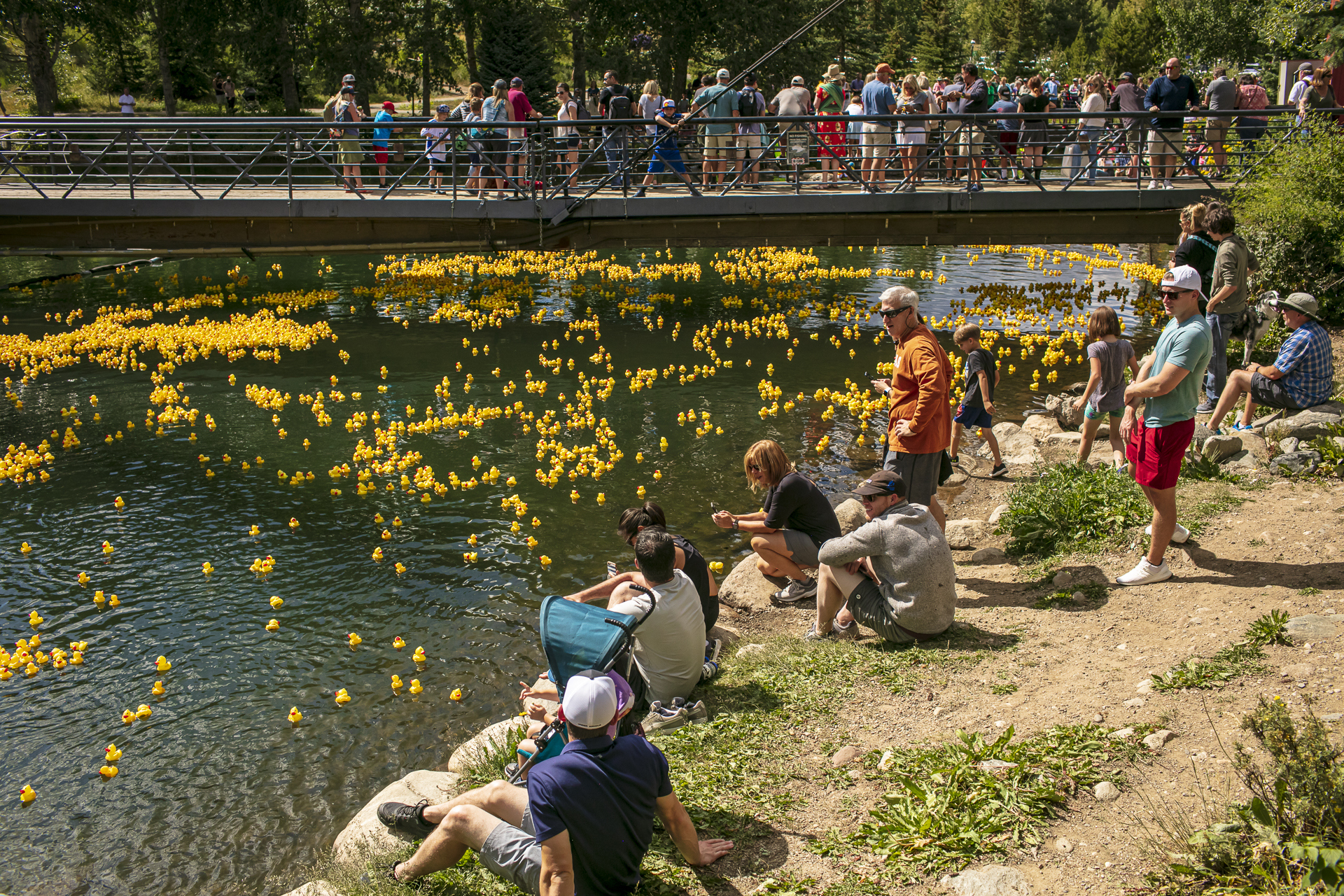 Great Rubber Duck Race The Summit Foundation
